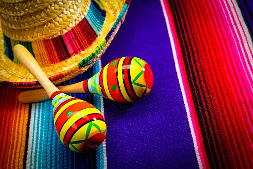 Read more about the article The Maraca: Origin and Cultural Reverberations