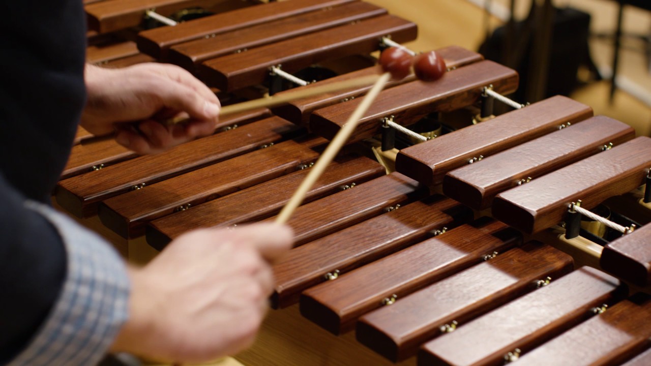 Read more about the article Xylophone in the Symphony